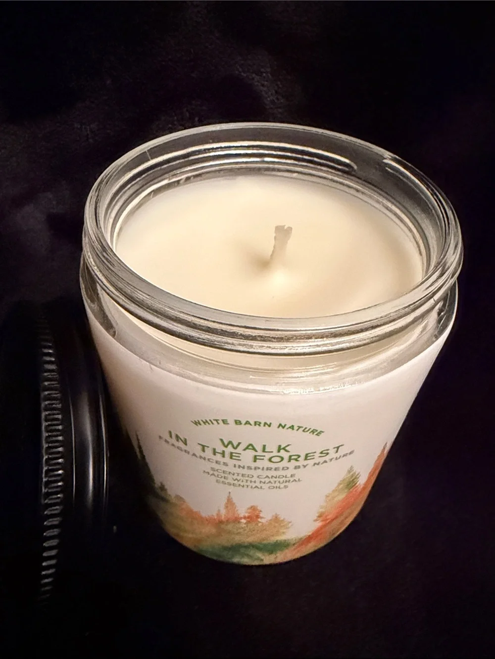 White Barn Walk in the Forest Scented Candle - Green & Orange